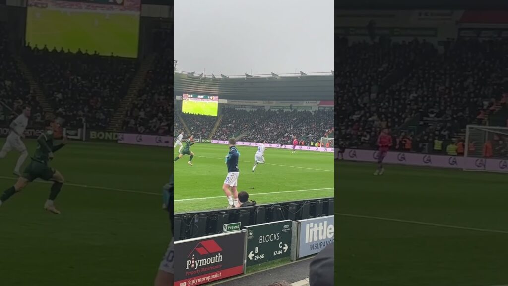 Leeds Utd ampadu v Plymouth argyle 17/2/24 #football