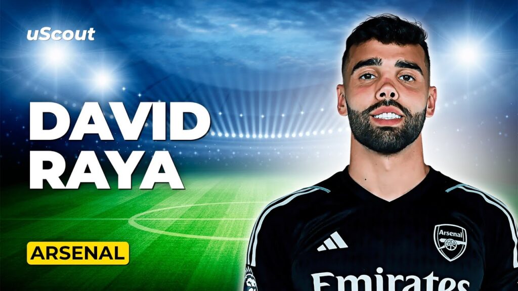 How Good Is David Raya at Arsenal?