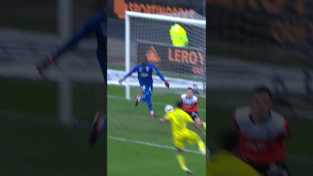 Jean-Charles Castelletto 🔰