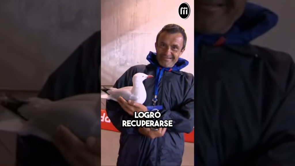 ¡ESTE PORTERO LE SALVÓ LA VIDA A UNA GAVIOTA Y SE GANÓ EL RESPETO DE TODO EL MUNDO! DANNY VUKOVIC