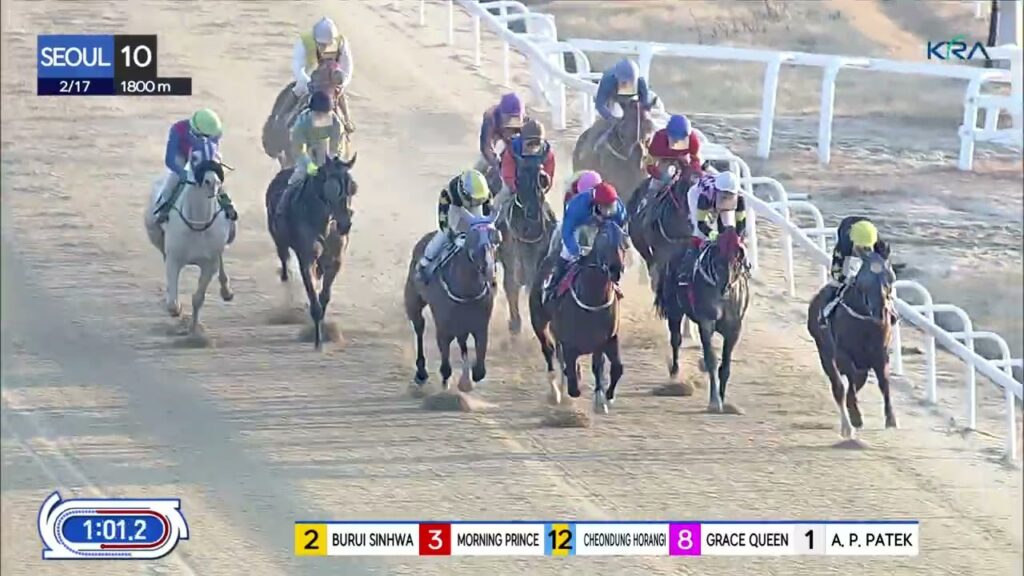 (Seoul) 2024.02.17 R10 Class 3 (1800M) Handicap
