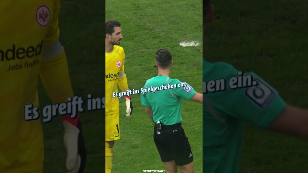 Schwein gehabt 🐷 #sportschaubundesliga #bundesliga #trapp #eintrachtfrankfurt #protest #shorts