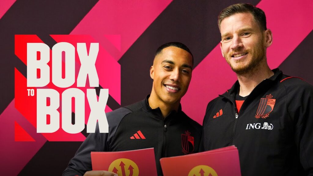 Testing the knowledge of Youri Tielemans and Jan Vertonghen | #REDDEVILS