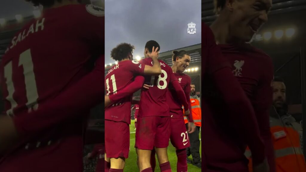 Those celebrations 😯💨 #Gakpo #LFC #shorts