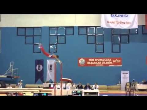 bosfor istabyl gymnastiks kz Milad Karimi 2015