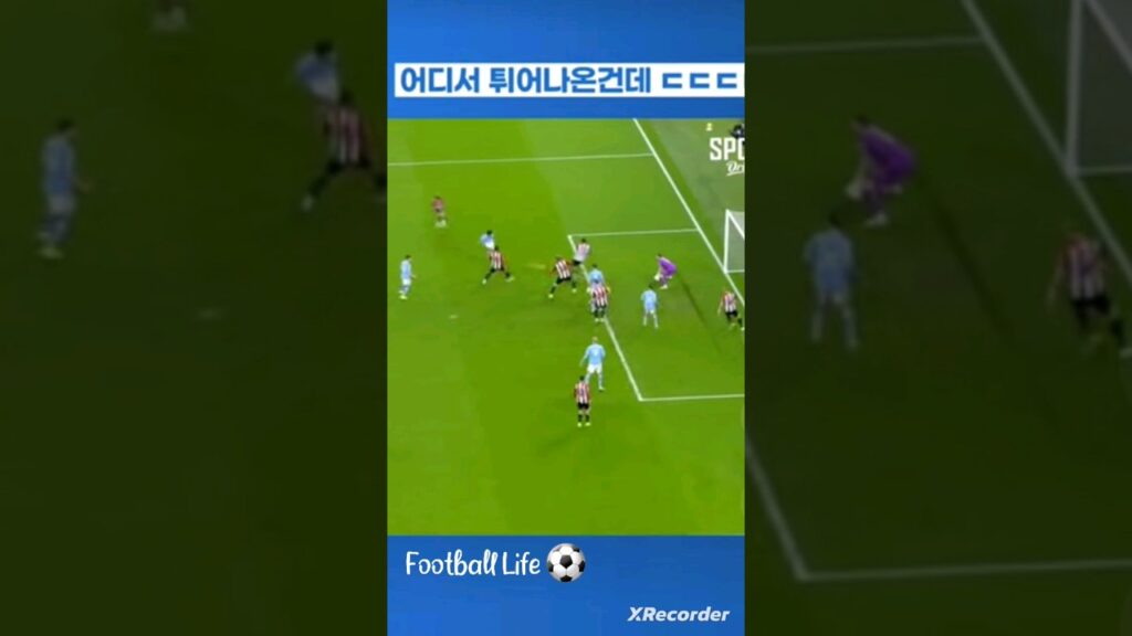 브렌트포드 역대급 슈퍼세이브 ㄷㄷㄷ