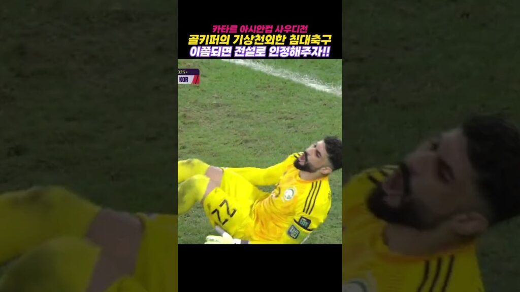 예능인 사우디 골키퍼