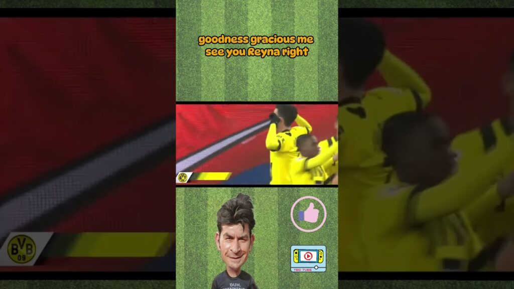 Inacreditável o gol de Giovanni Reyna Borussia Dortmund x Augsburg