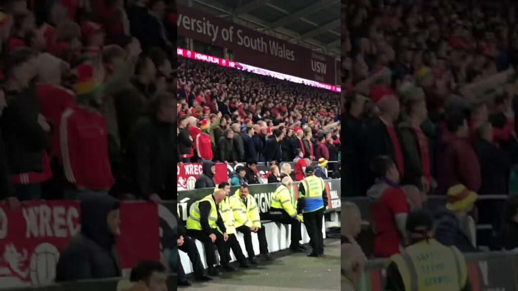 Wales v Croatia - Your just a Sh*t Joe Allen!