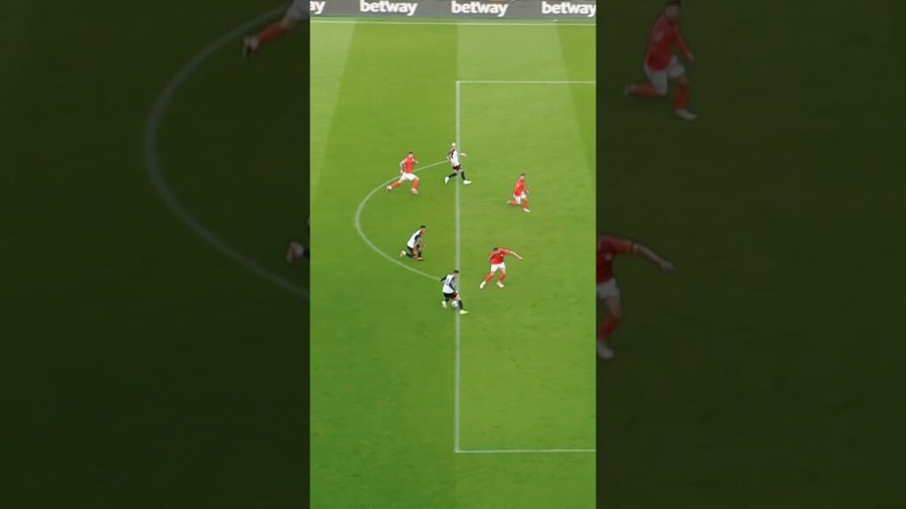 🏴󠁧󠁢󠁷󠁬󠁳󠁿 Harry belter vs Brighton opens the scoring 👌  #fulham #reels #premierleague