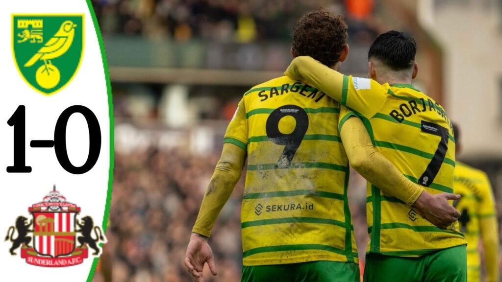 Norwich City vs Sunderland (1-0) Josh Sargent Goal | Goals and Highlights, EFL Championship 2024