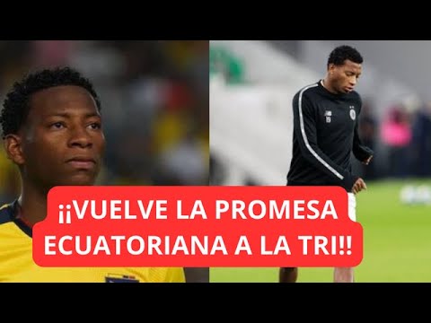 GONZALO PLATA SORPRENDE SU LLAMADO A LA SELECCION ECUATORIANA |  ESTRADA EN TERRIBLE MOMENTO