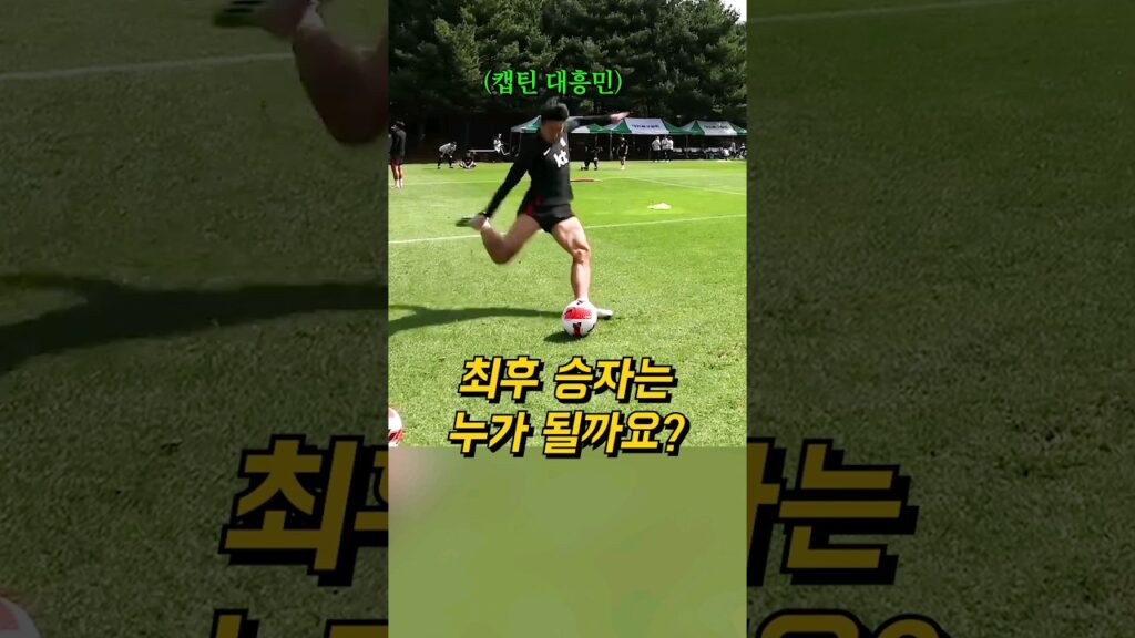 가슴이 웅장해지는 국대 프리킥 대결 (손흥민, 이강인, 김민재, 황인범)