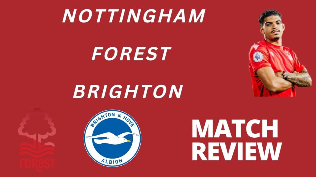 Brighton and hove Albion 1 Nottingham Forest 0 | match review