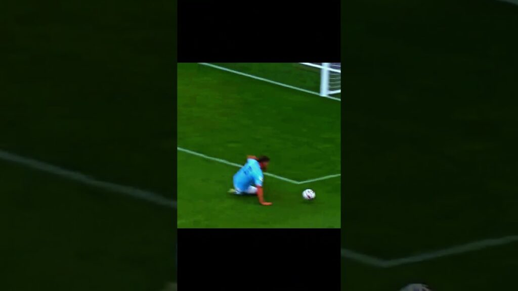 Ruben Dias'3 AKA The Wall...