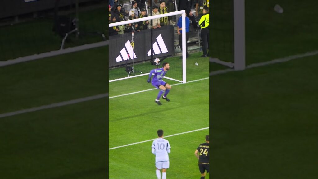 Hugo Lloris, protector of the North End 🧤