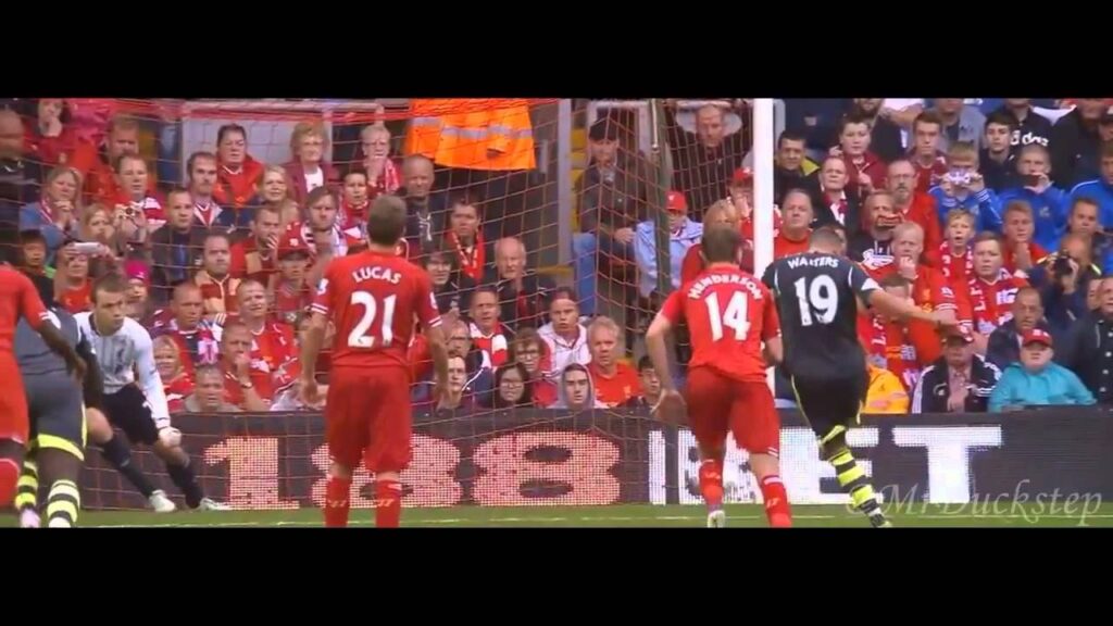 Simon Mignolet 2013-2014