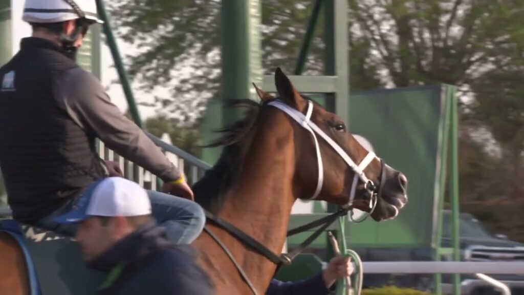 Saudi Cup - Mandaloun - February 24, 2022