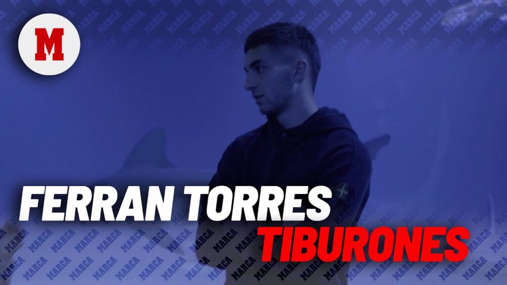 Ferran Torres visita el Oceanogràfic para concienciar sobre la protección de los tiburones I MARCA