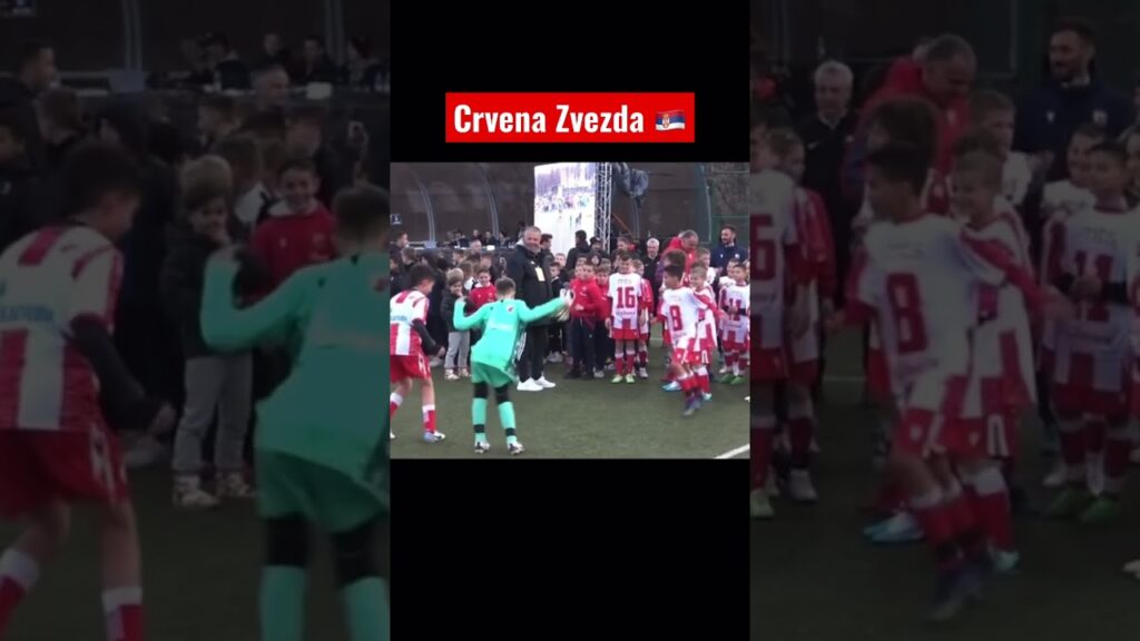 Red star ⚽️ Soccer champs - frog dance #fudbal #soccer #derby #fc_derby_novi_sad #football
