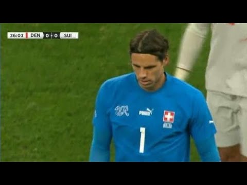Yann Sommer INJURY Vs Denmark