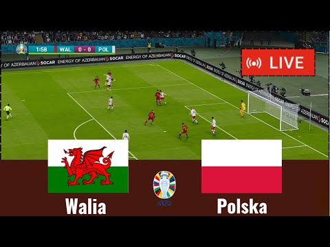 Mecz Polska - Walia żywo Eliminacje do Euro Kompletny Symulacja piłki nożnej  PC do rozgrywki