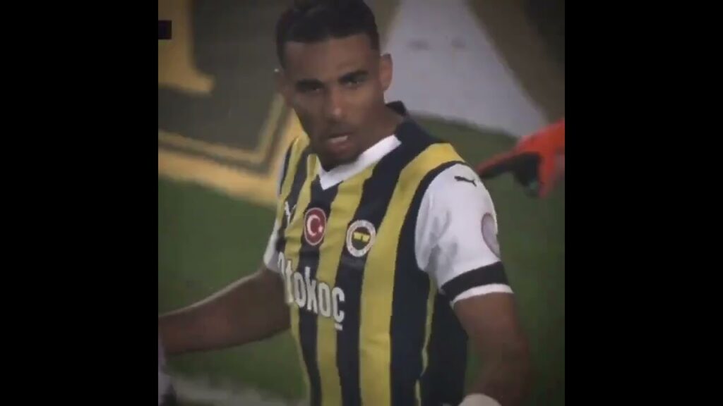 Fenerbahçe nin Savunma Bakanı Alexander Djiku #osayi #oosterwolde #irfancan #fred #ferdikadioğlu