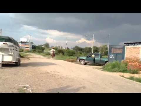 Punta Jose Luis Chávez