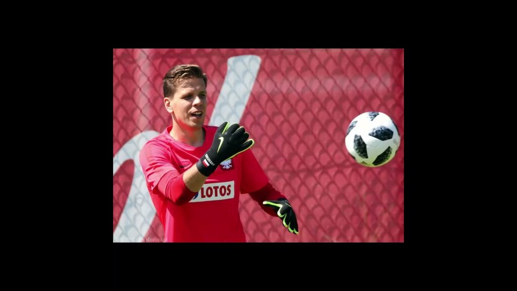 WOJCIECH SZCZĘSNY EVOLUTION 2010-2024 #evolution #szczesny