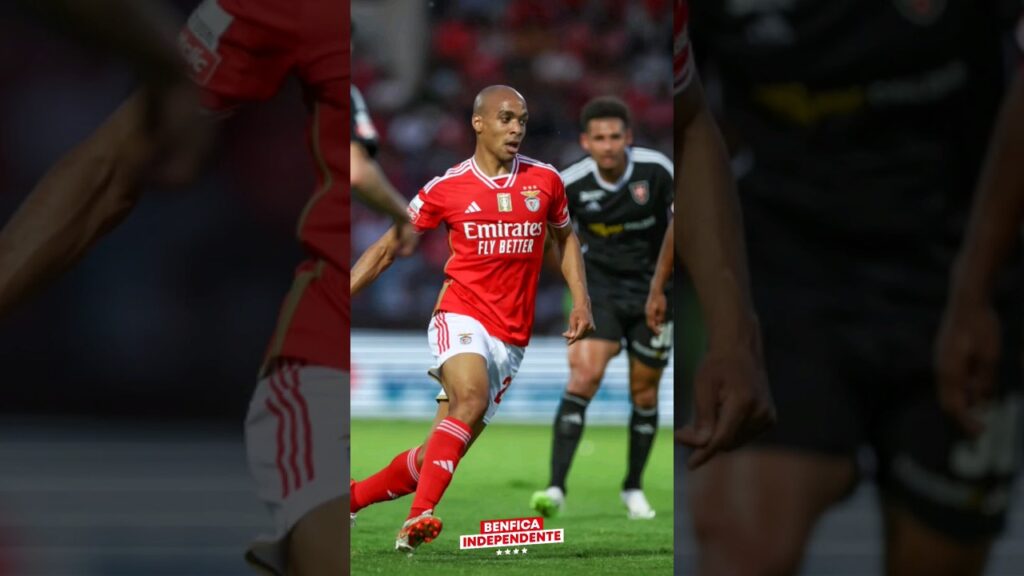 "o pessoal habituou-se a malhar no João Mário" #Benfica @BenficaIndependente