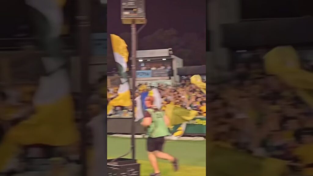 Craig Goodwin goal Socceroos v Lebanon #socceroos