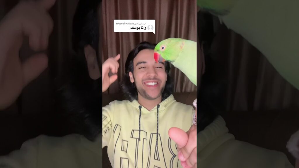 اهداء الى يوسف ♥️🦜 #علي_فؤاد #طنطل #ببغاء_متكلم #ببغاء #تريند #ترند #كوميديا #كوميدي #رمضان_كريم