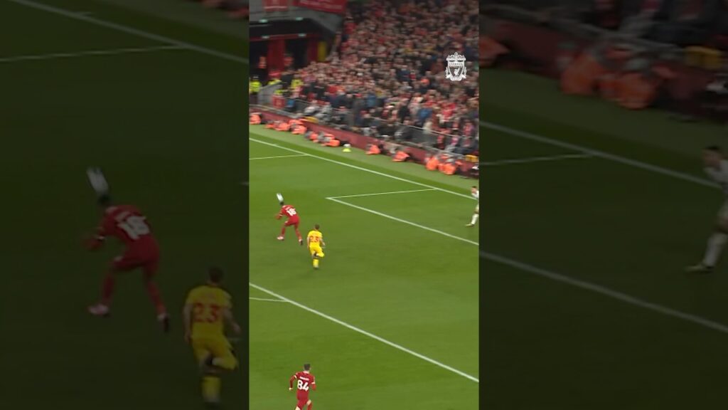 Super header Cody Gakpo 🙌