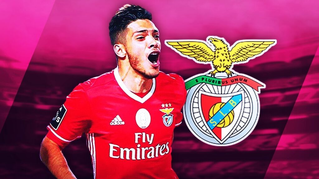 RAUL JIMENEZ - Incredible Goals, Skills & Assists - 2017 (HD)