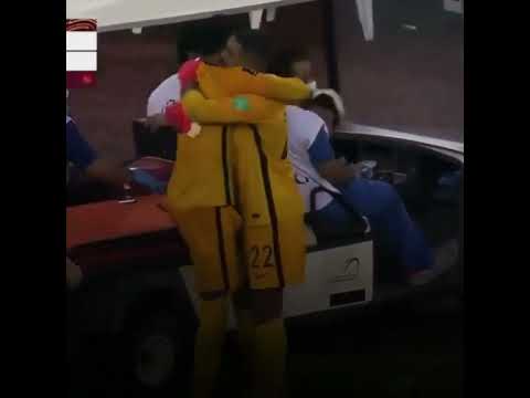 لـ قطة للتاريخ 😢💔💔