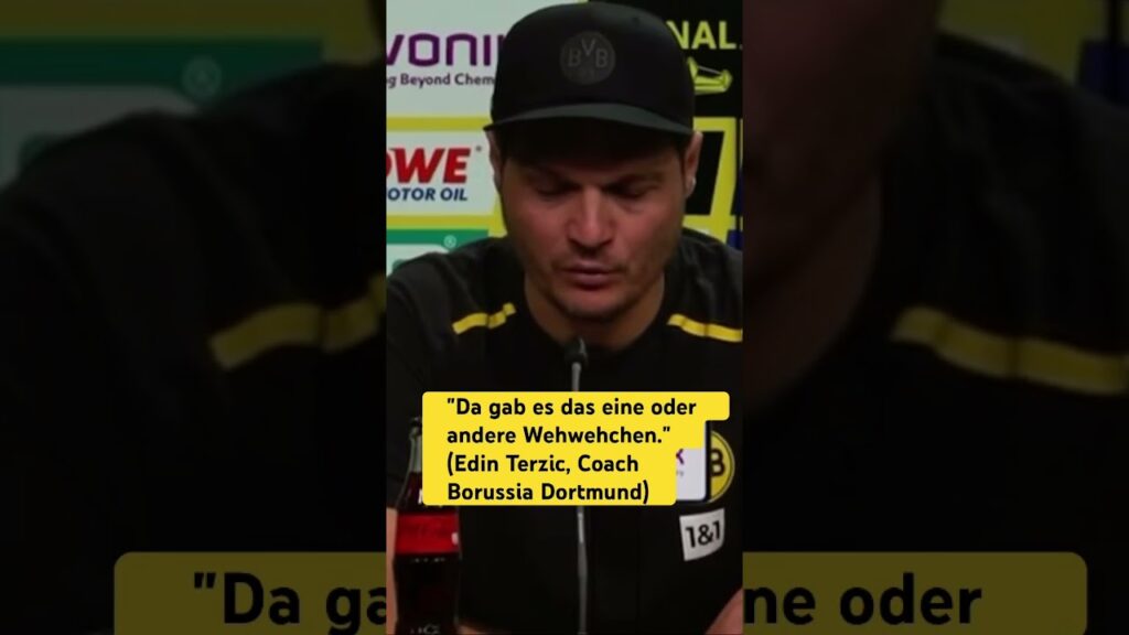 Edin Terzic zum Wettbewerb zwischen Haller und Füllkrug im BVB-Sturm #bvb #terzic #haller #füllkrug