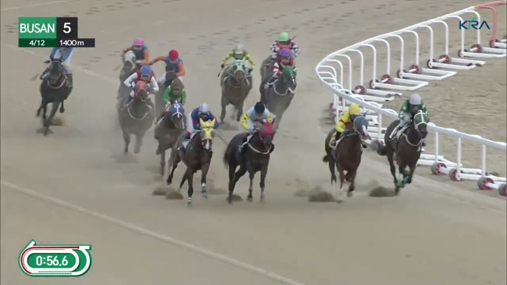 (Busan) 2024.04.12 R5 Class 4 (1400M) Handicap