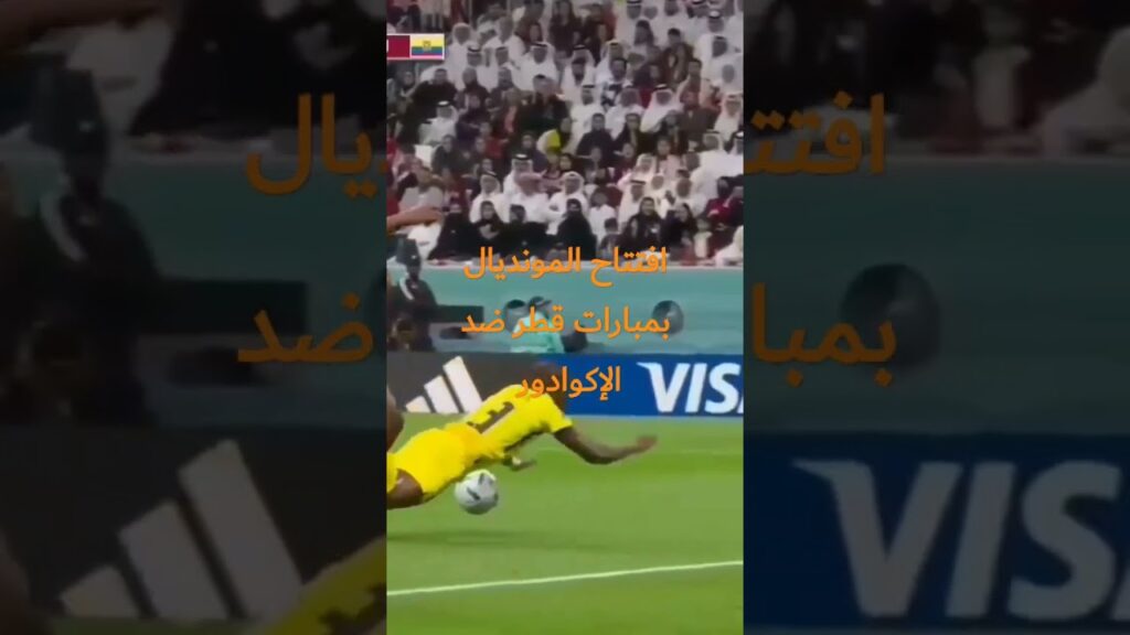 20 نوفمبر، 2022