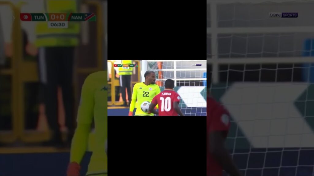 هدف ناميبيا في تونس