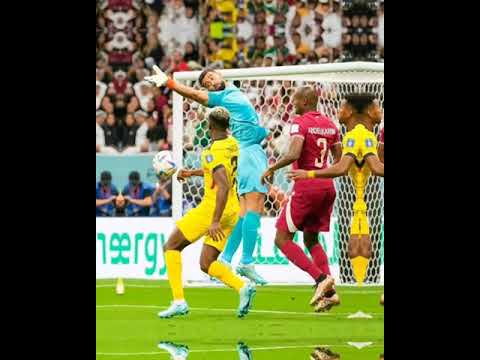 حارس مرمى قطر ضد حارس الإكوادور
