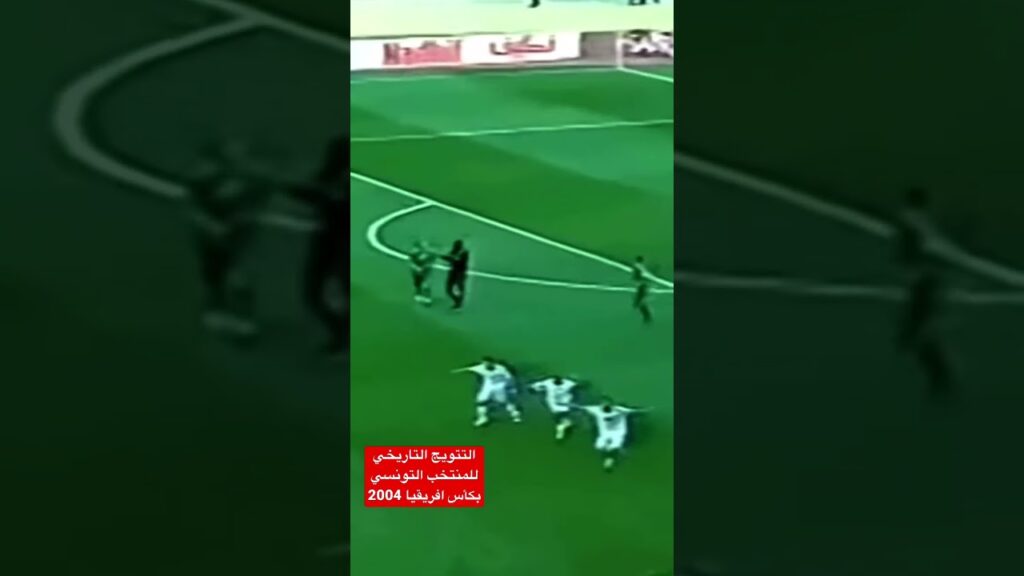 التتويج التاريخي للمنتخب التونسي بكأس افريقيا 2004 🇹🇳❤️