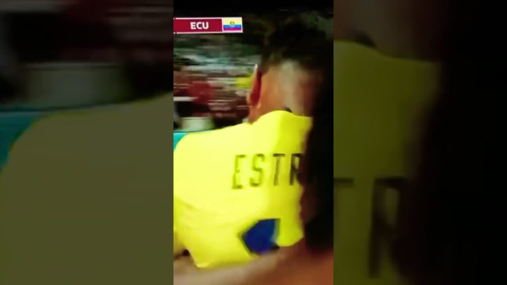 qatar  0 vs 2 Ecuador