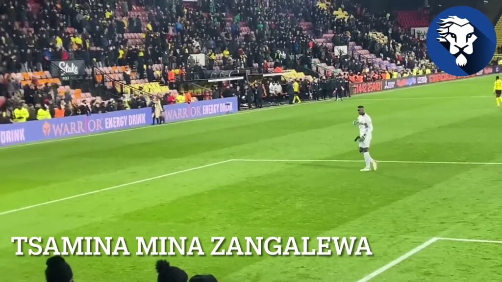 CHELSEA FANS SING NEW EDOUARD MENDY SONG + Lyrics At Watford