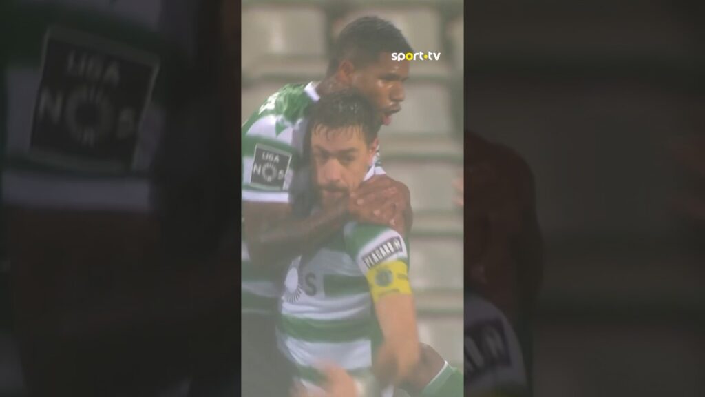 🔍 Golos em Barcelos: bis de Seba Coates 🦁 #GVFCSCP #SebastianCoates #Coates #SportingCP