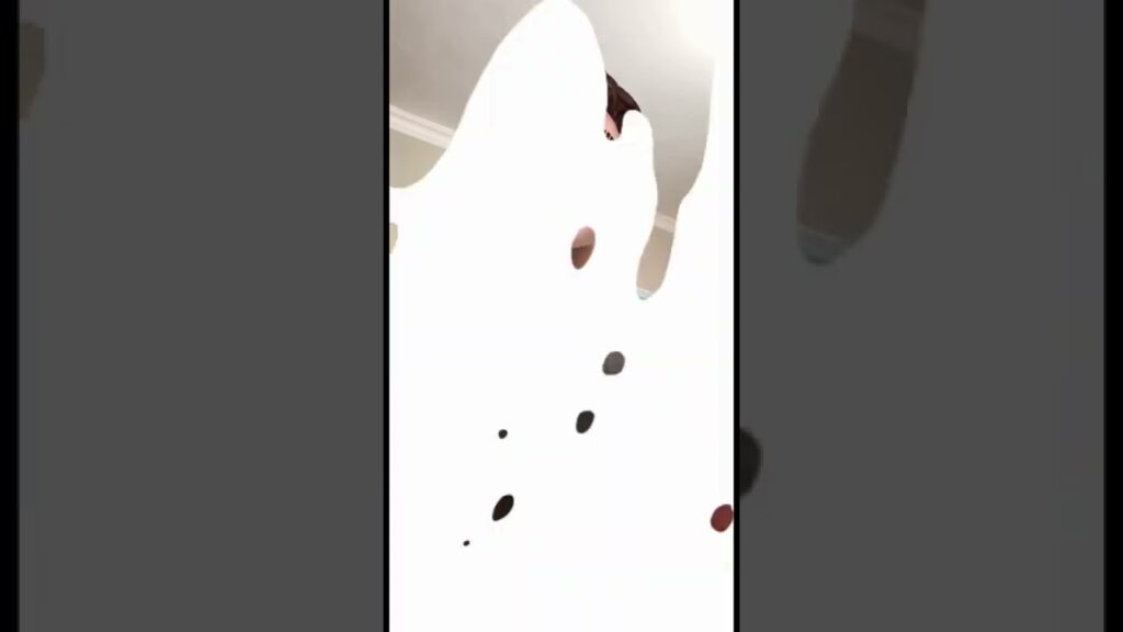 ٨ لاعبين رفضوا اللعب لمنتخب الجزائر #shorts #الجزائر #مصر #المغرب #كرة_القدم #كورة #football #egypt