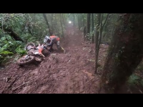 DESAFIO  TRILHA  PAULO BENTO 14/04/2024