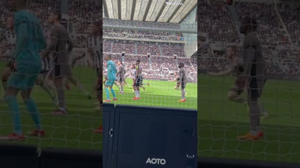 Fabian schar goal. Spurs. Newcastle United. Nufc. 14.4.24