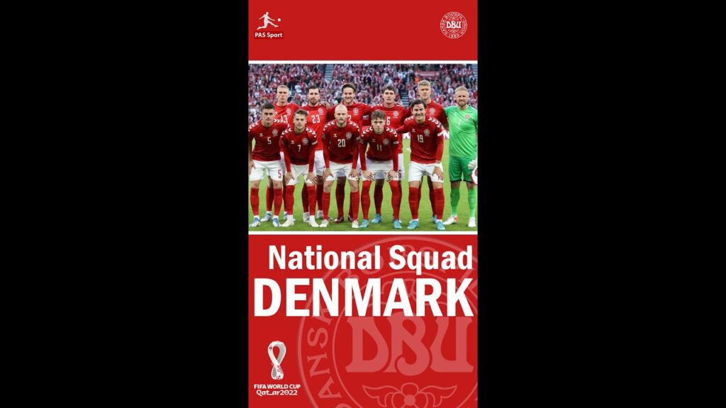DENMARK 2022 WORLD CUP  SQUAD #denmark  #uefanationsleague #worldcup2022   #shorts #shortvideo