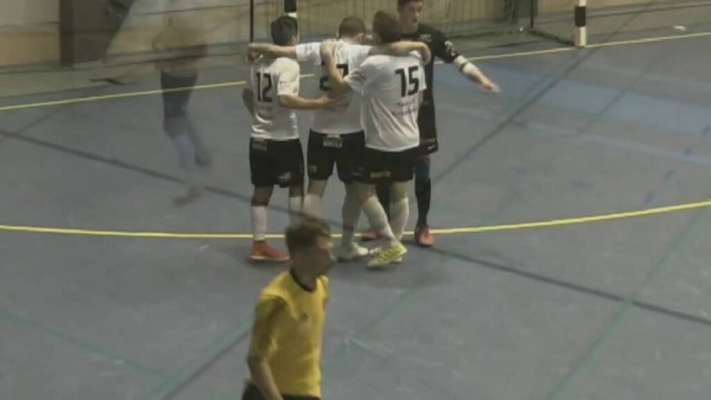 Nenad Veljkovic Season 2015 -16 Goals