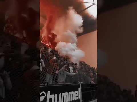 شنعة جماهير الترجي في قاعة الزواوي في الدربي 🔥🔥🔥